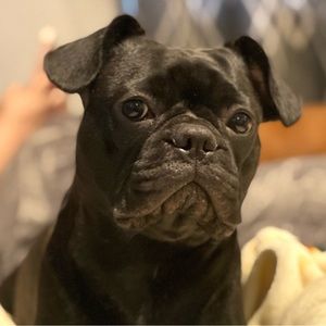 Meet your Posher, Anthony